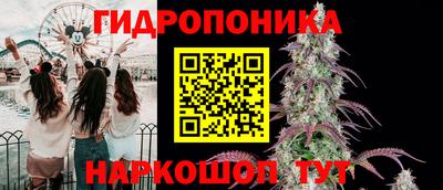 гидропоника Жуковский