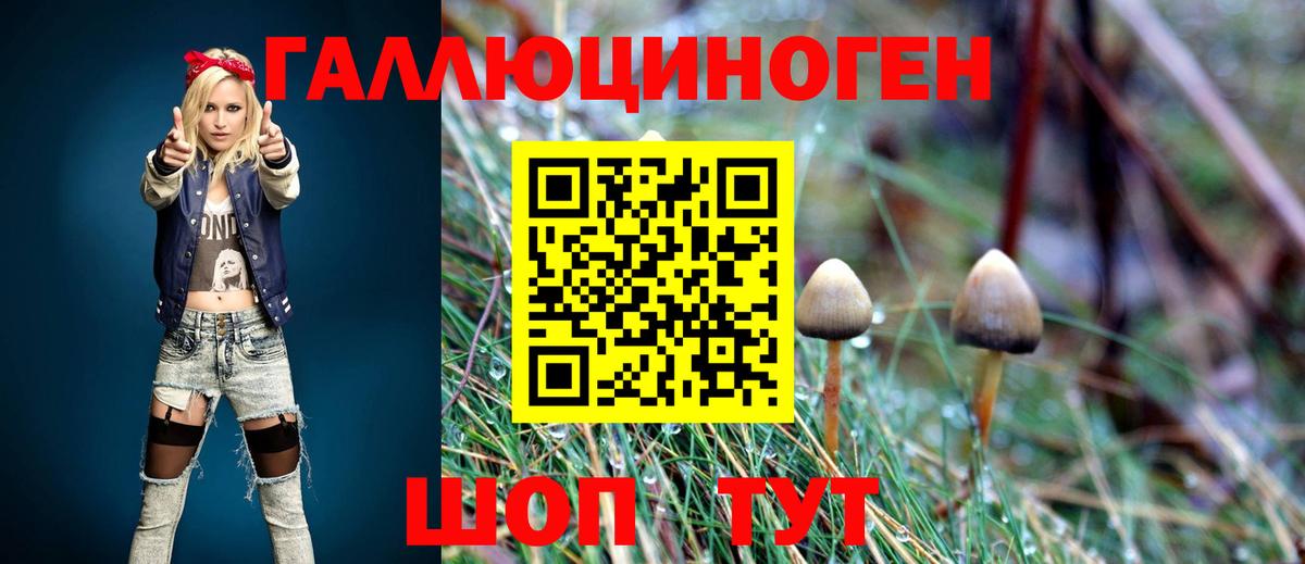 Галлюциногенные грибы Magic Shrooms Киселёвск